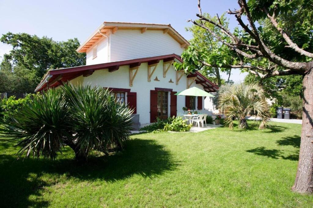 Villa Robert Shumann, A 700 M De La Plage 安德诺莱斯贝恩 外观 照片