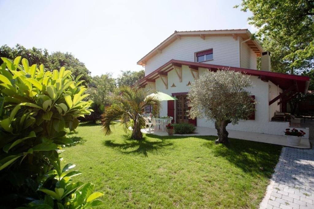 Villa Robert Shumann, A 700 M De La Plage 安德诺莱斯贝恩 外观 照片